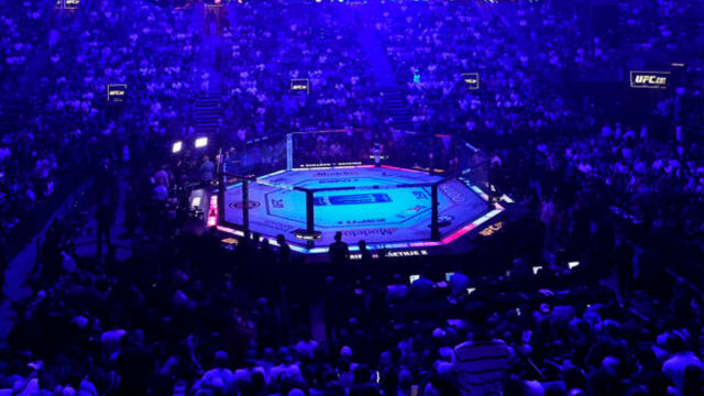 A shot of the world-famous UFC Octagon.